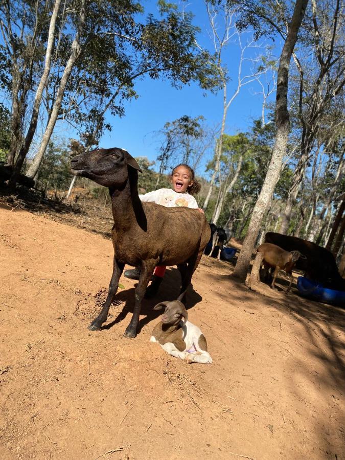 Hotel Fazenda Minas Real Simão Pereira Dış mekan fotoğraf