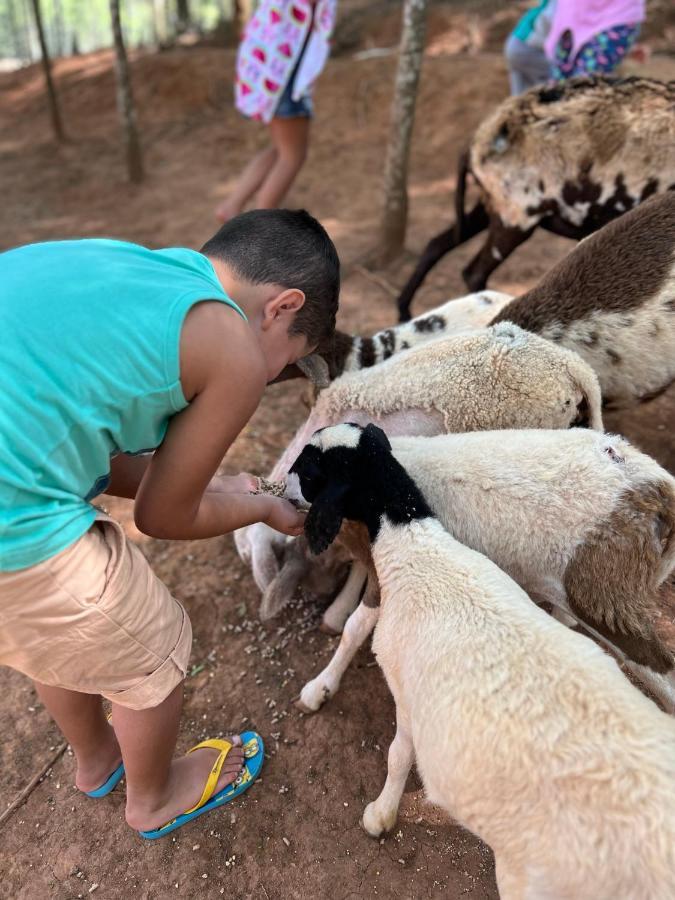 Hotel Fazenda Minas Real Simão Pereira Dış mekan fotoğraf